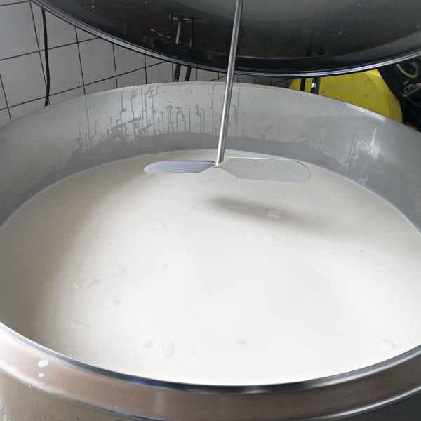 Tank_Milk_Cooler_Frmentig_Cheese_Storage_Silver_Colored_Stainless_Steel